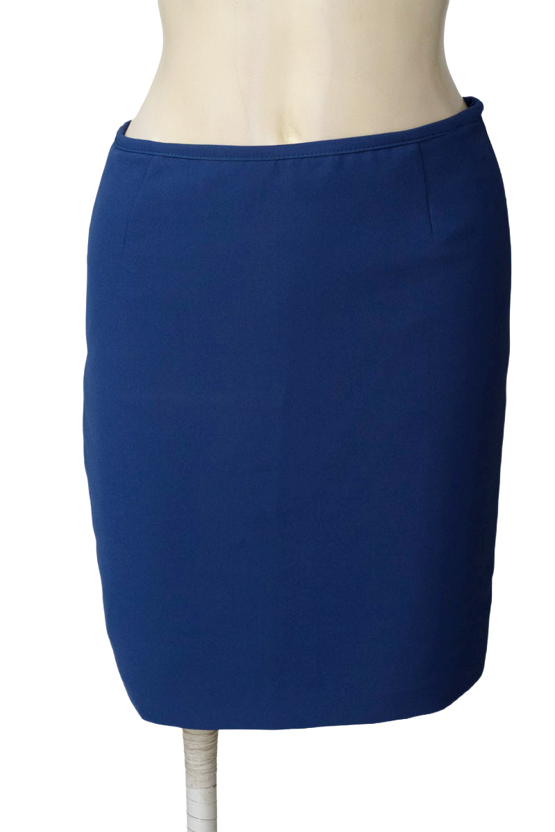 Falda color Azul - Mira Smith