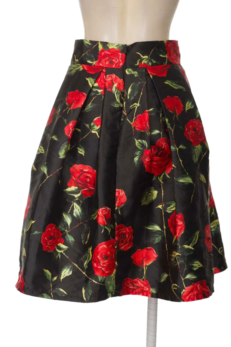 Falda color Negro - NS Fashion