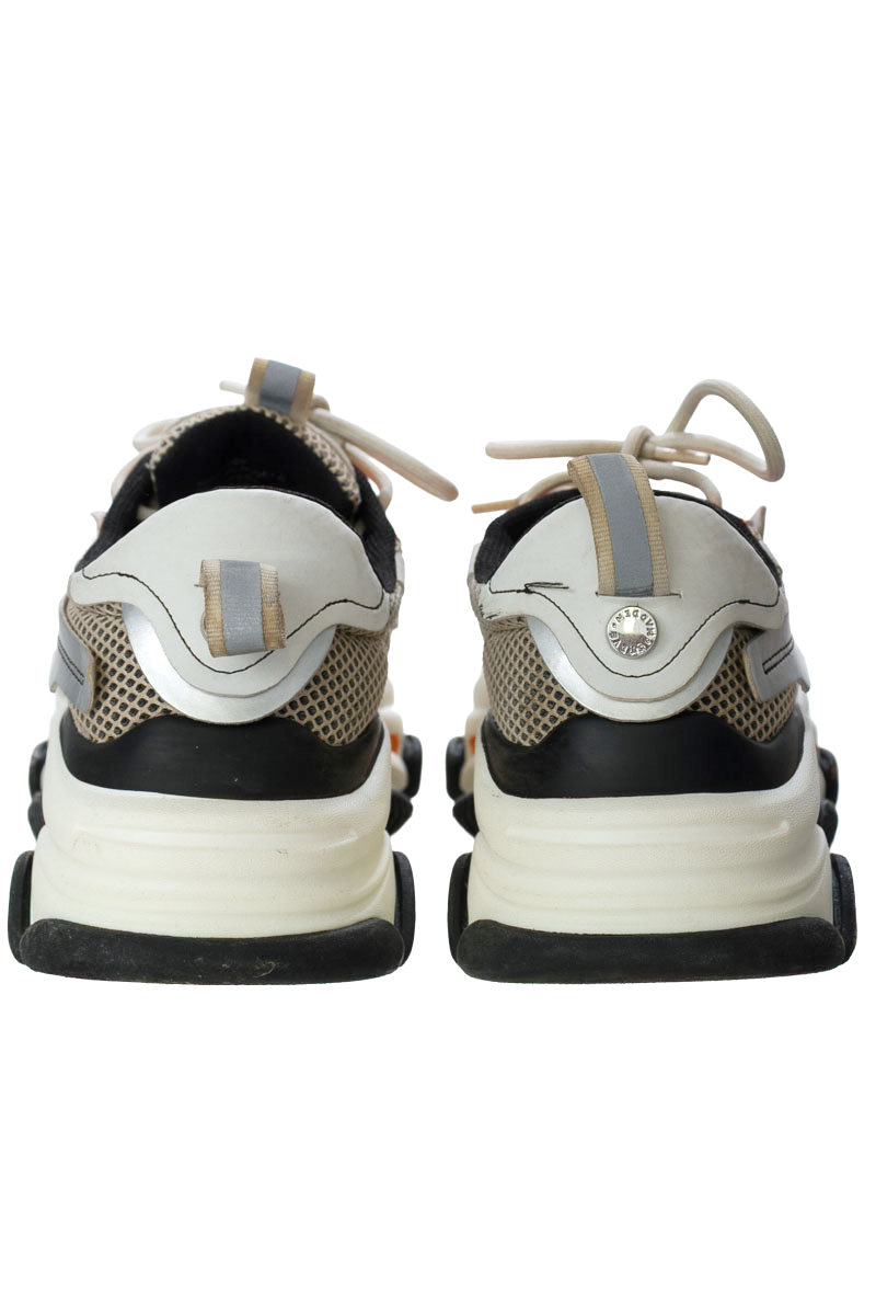 Zapatos color Blanco - Steve Madden