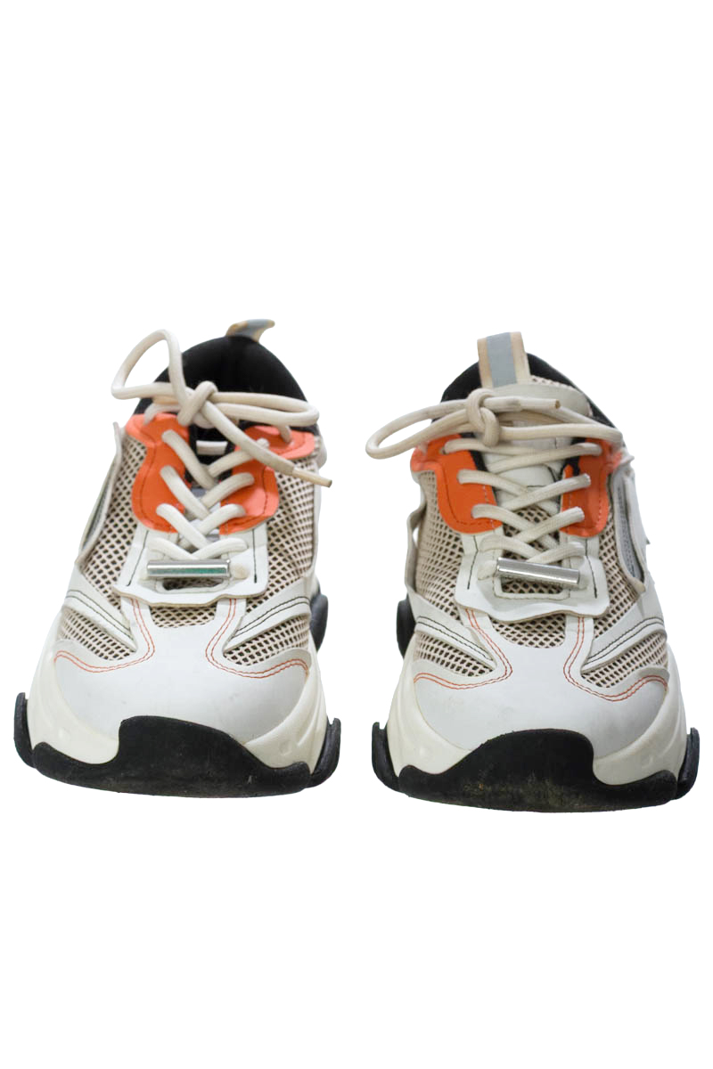 Zapatos color Blanco - Steve Madden