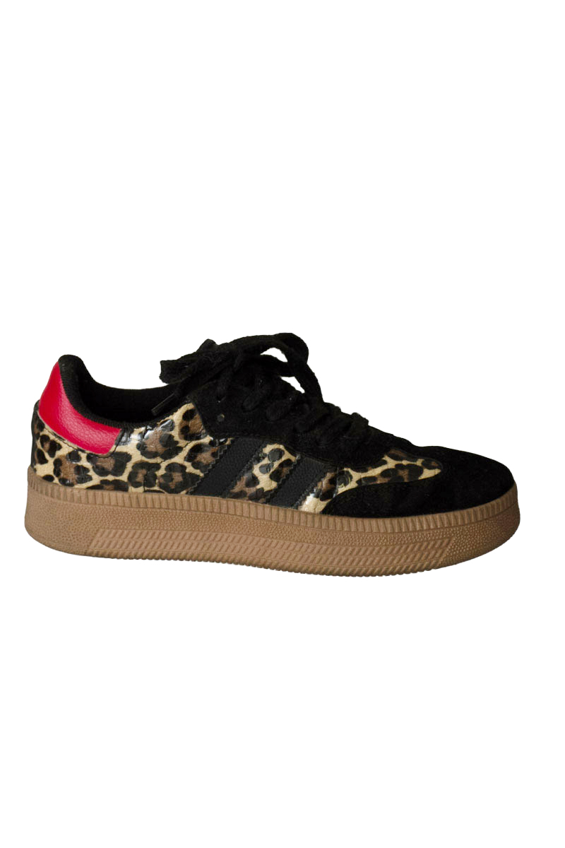 Zapatos color Negro - Toryvic