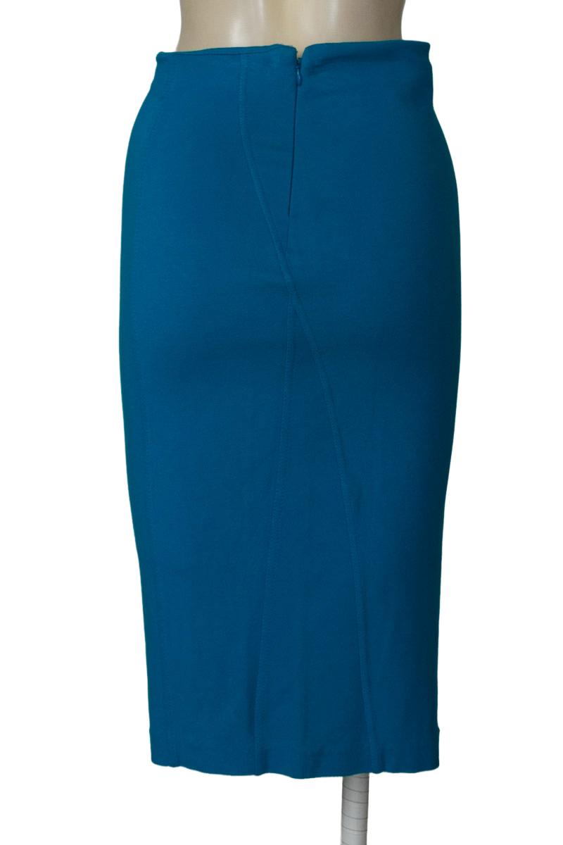 Falda color Azul - Express