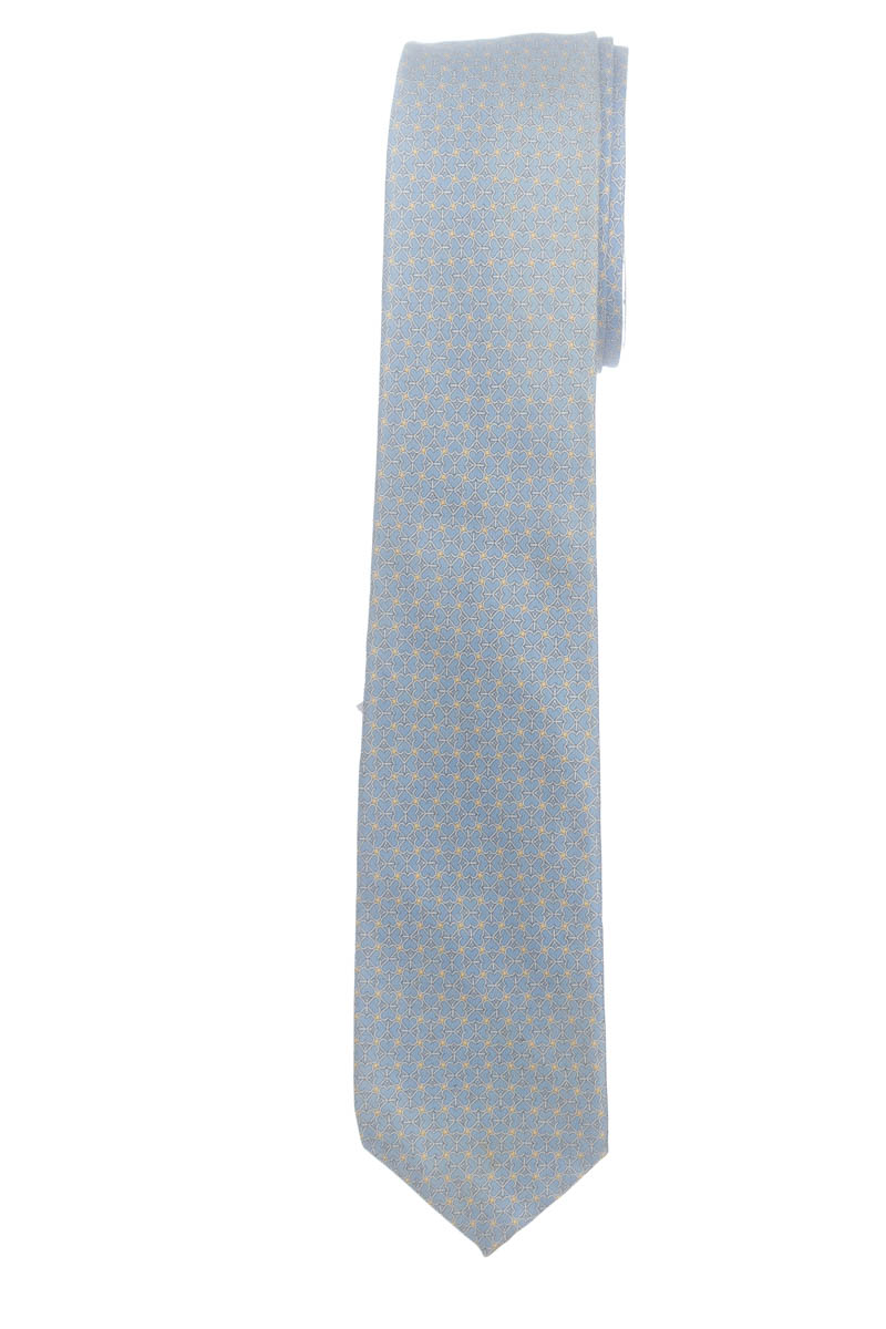 Accesorio color Azul - Salvatore Ferragamo